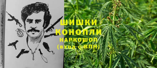 прущие крисы Осташков